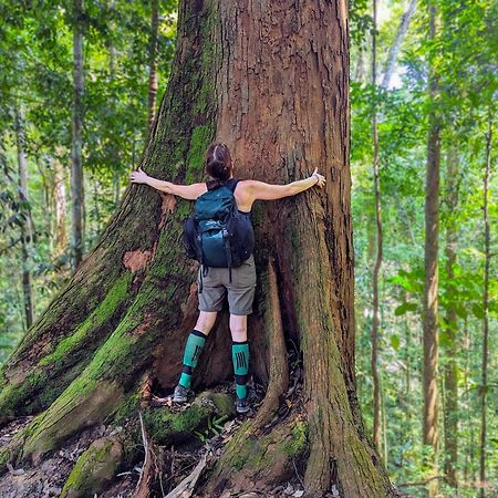 Thejungleguide - Lodges & Treks Bukit Lawang Exterior foto
