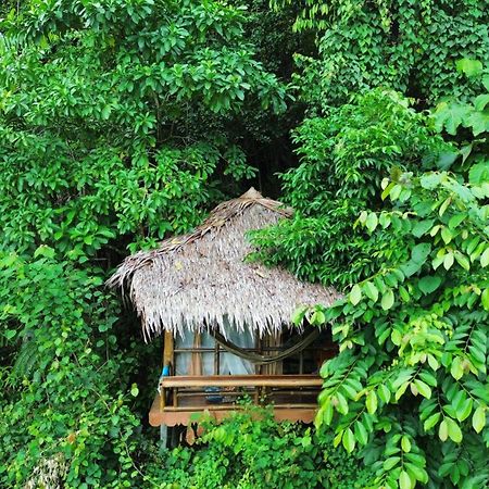 Thejungleguide - Lodges & Treks Bukit Lawang Exterior foto