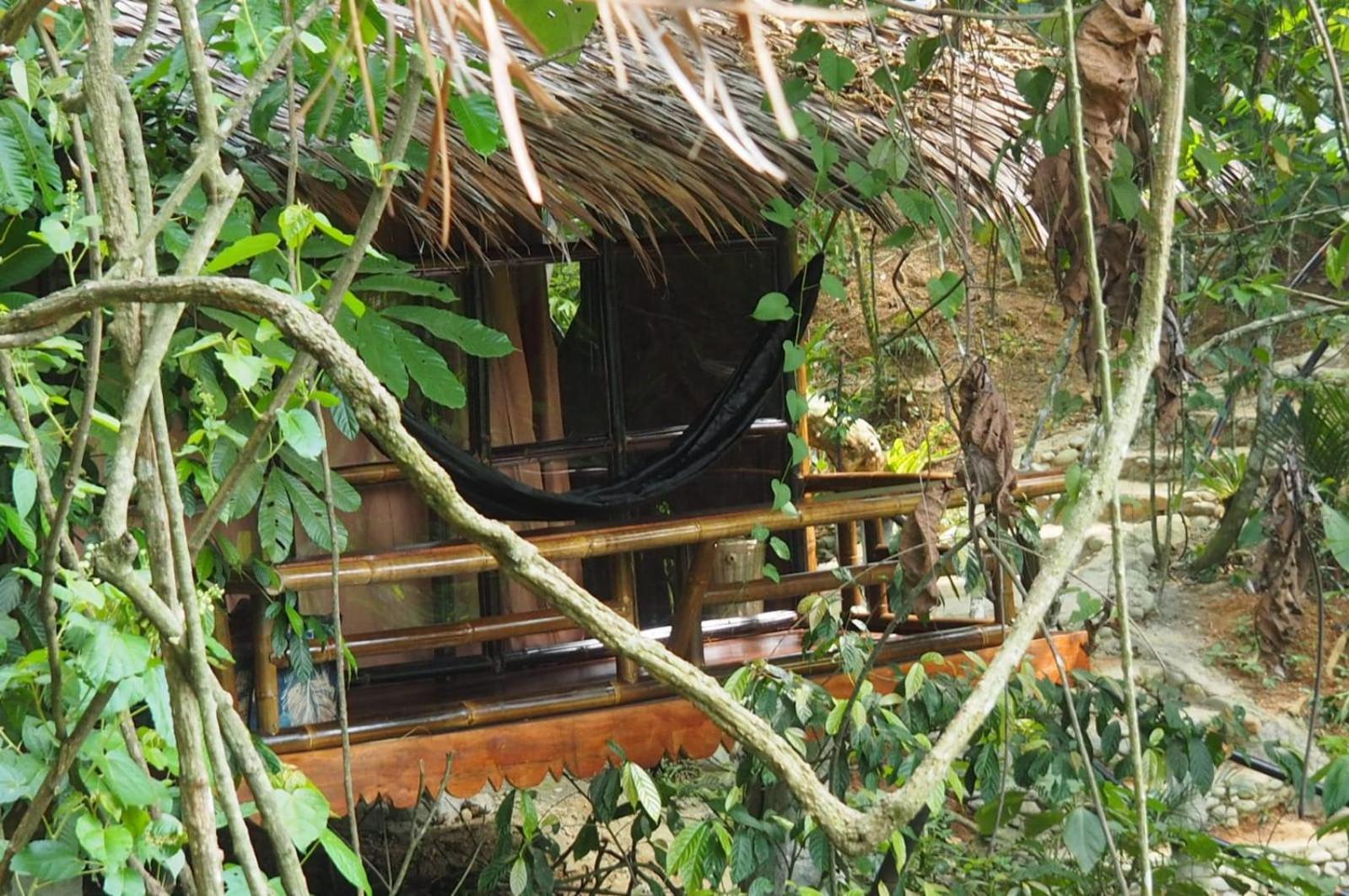 Thejungleguide - Lodges & Treks Bukit Lawang Exterior foto