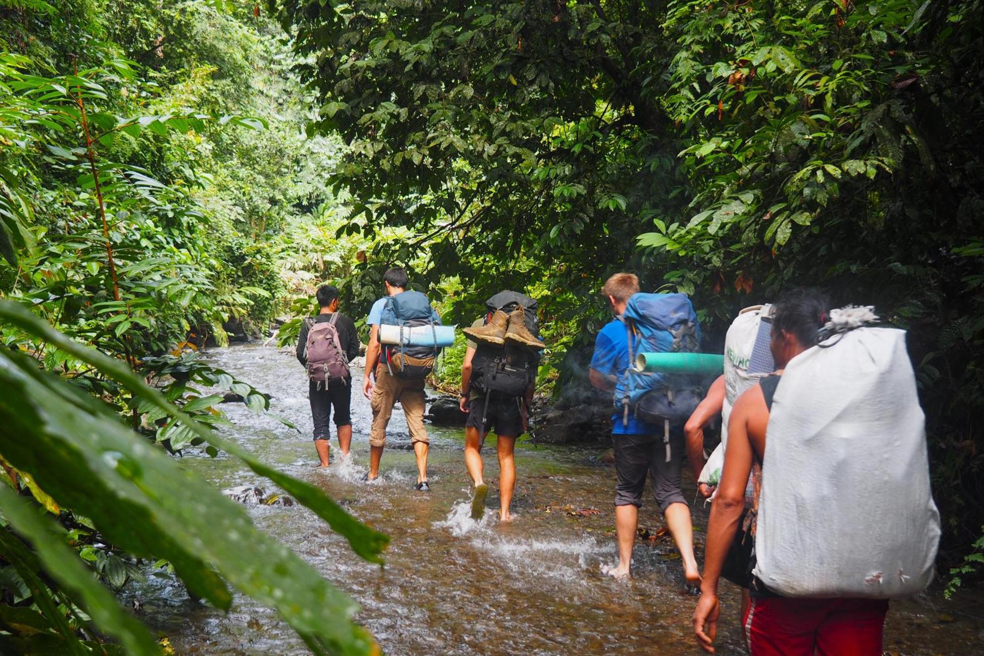 Thejungleguide - Lodges & Treks Bukit Lawang Exterior foto