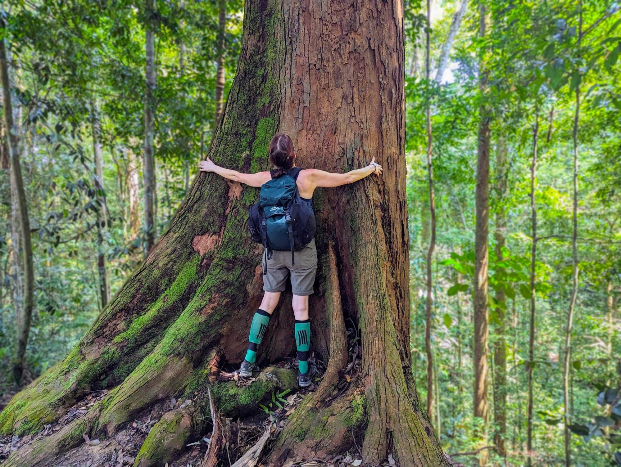 Thejungleguide - Lodges & Treks Bukit Lawang Exterior foto