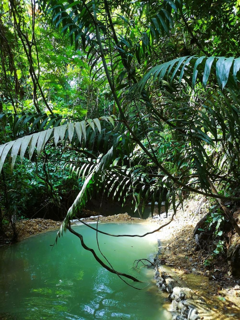 Thejungleguide - Lodges & Treks Bukit Lawang Exterior foto