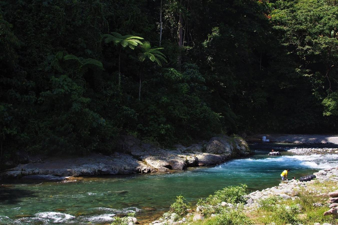 Thejungleguide - Lodges & Treks Bukit Lawang Exterior foto
