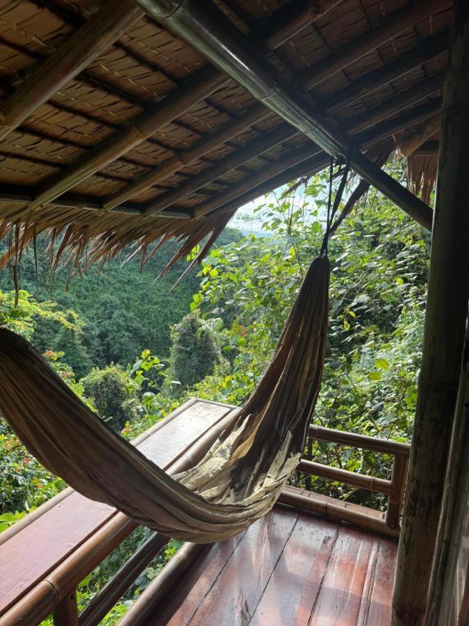 Thejungleguide - Lodges & Treks Bukit Lawang Exterior foto